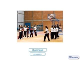 el gimnasio
 gymnasium
 