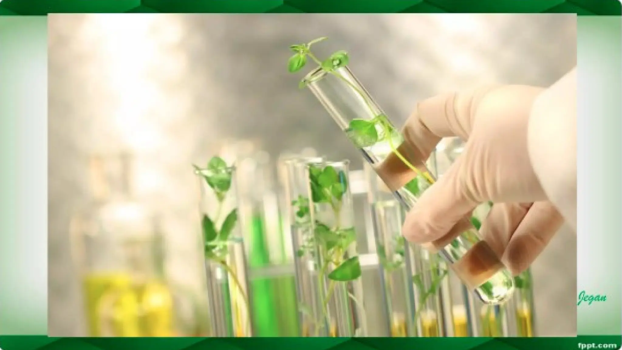 unit 2 cognoasy.pptx pharmacognosy  theory