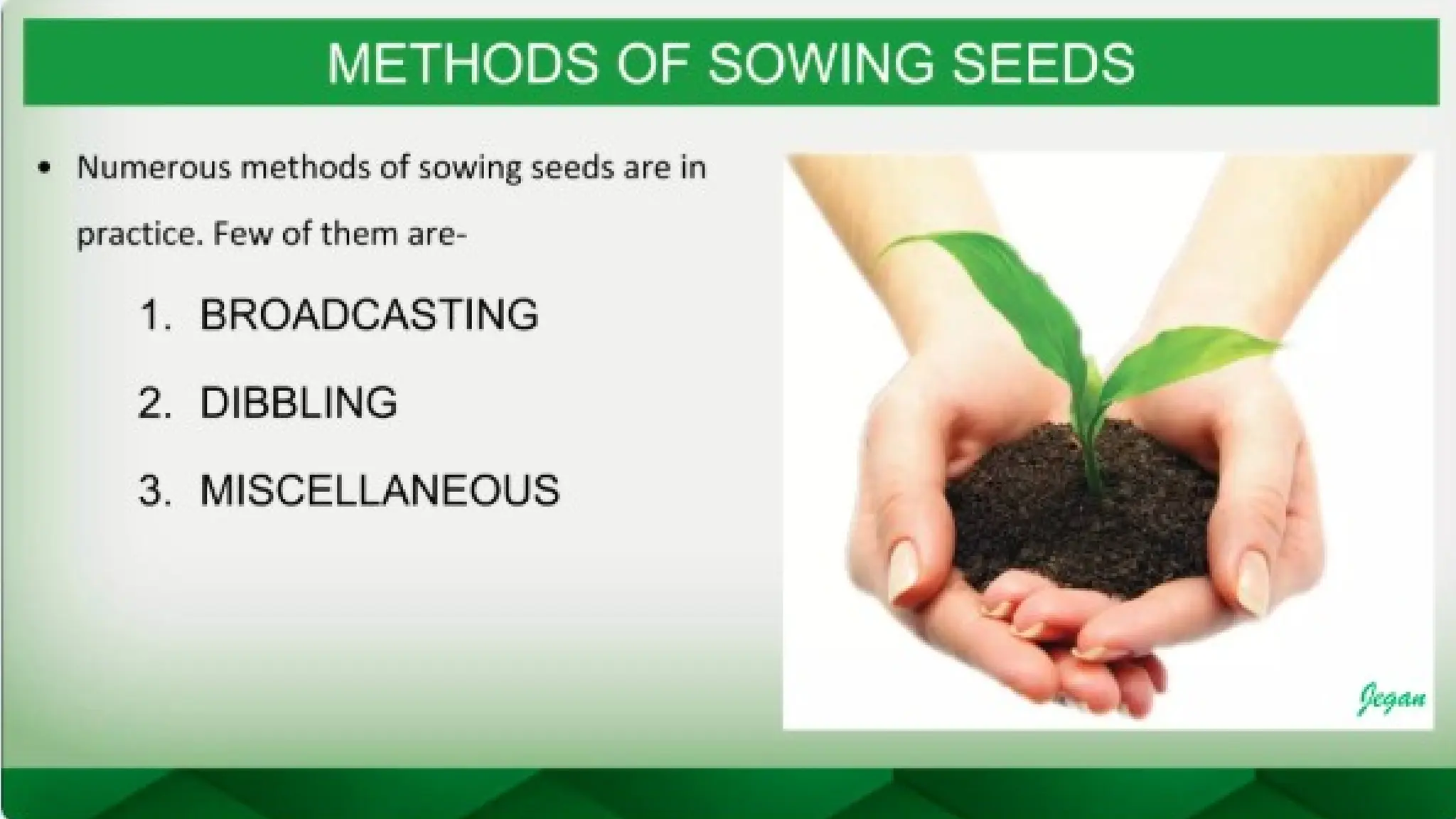 unit 2 cognoasy.pptx pharmacognosy  theory