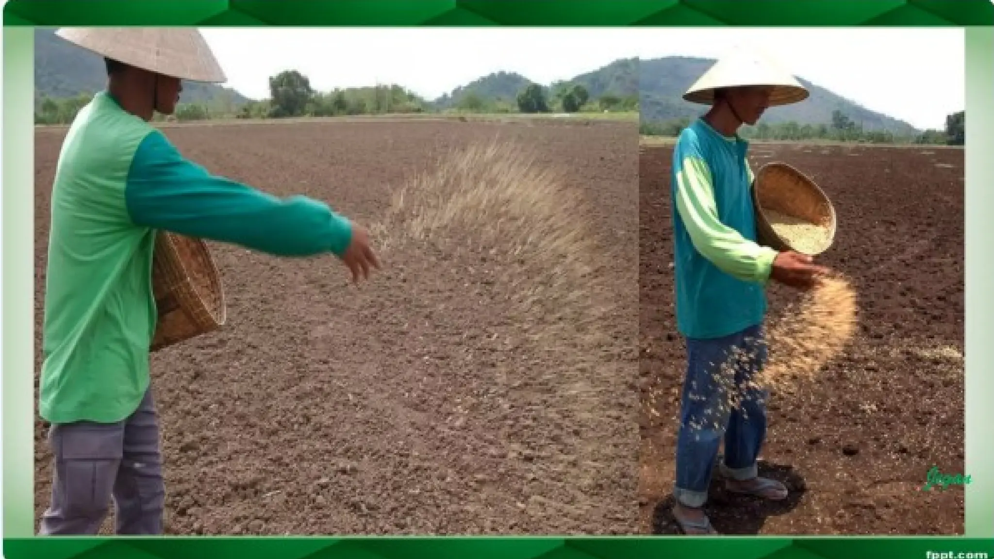 unit 2 cognoasy.pptx pharmacognosy  theory