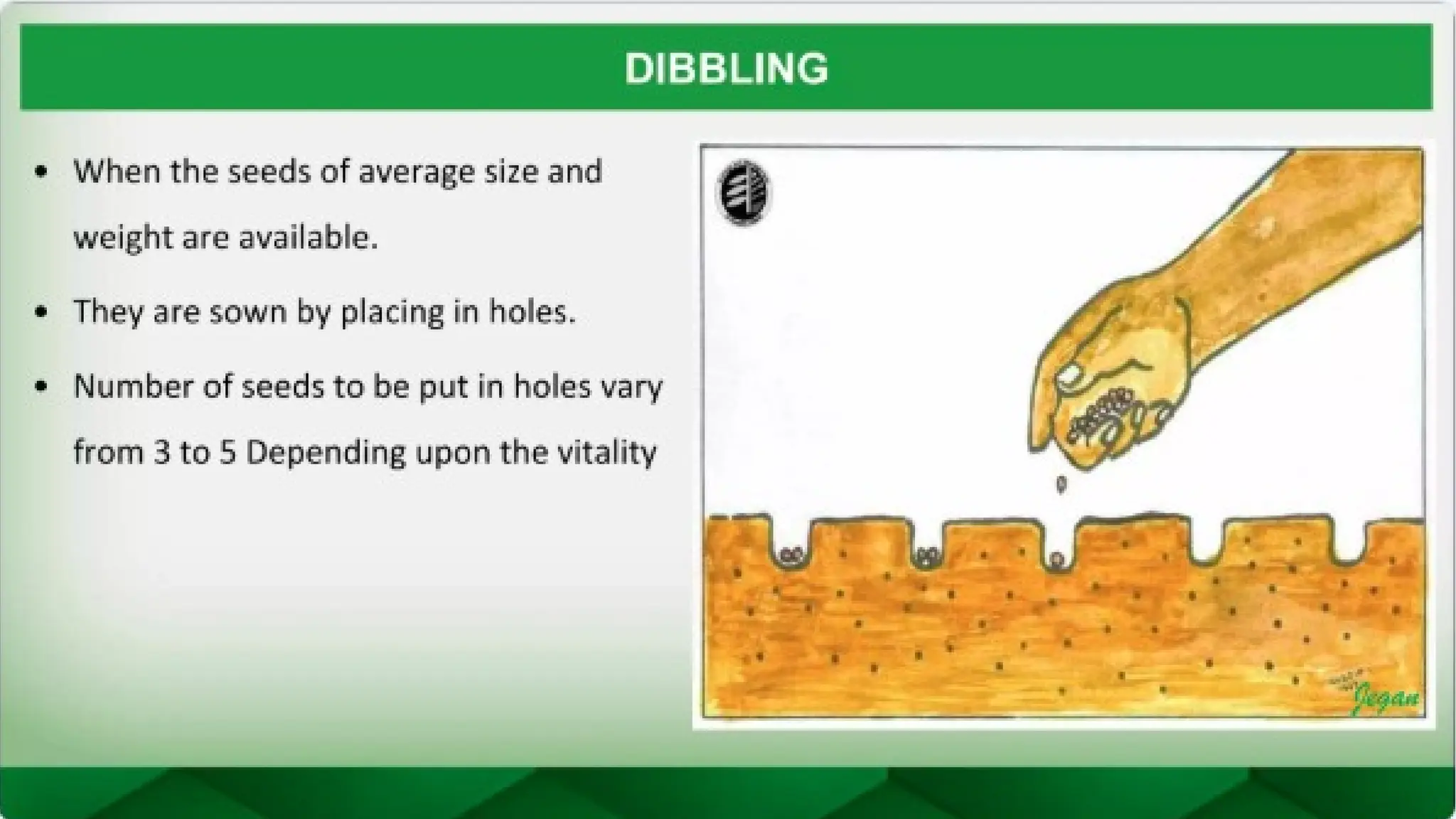 unit 2 cognoasy.pptx pharmacognosy  theory