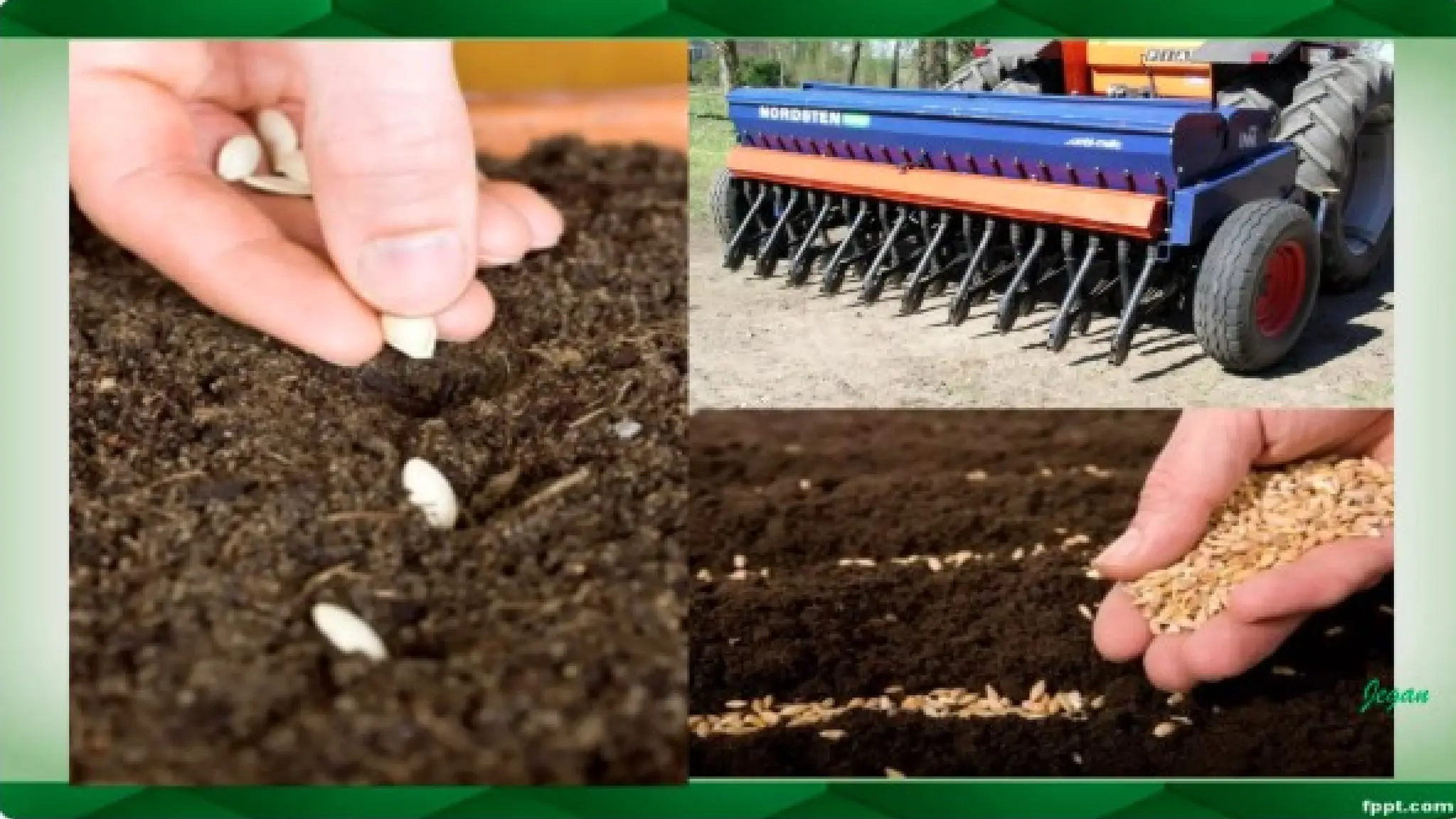 unit 2 cognoasy.pptx pharmacognosy  theory