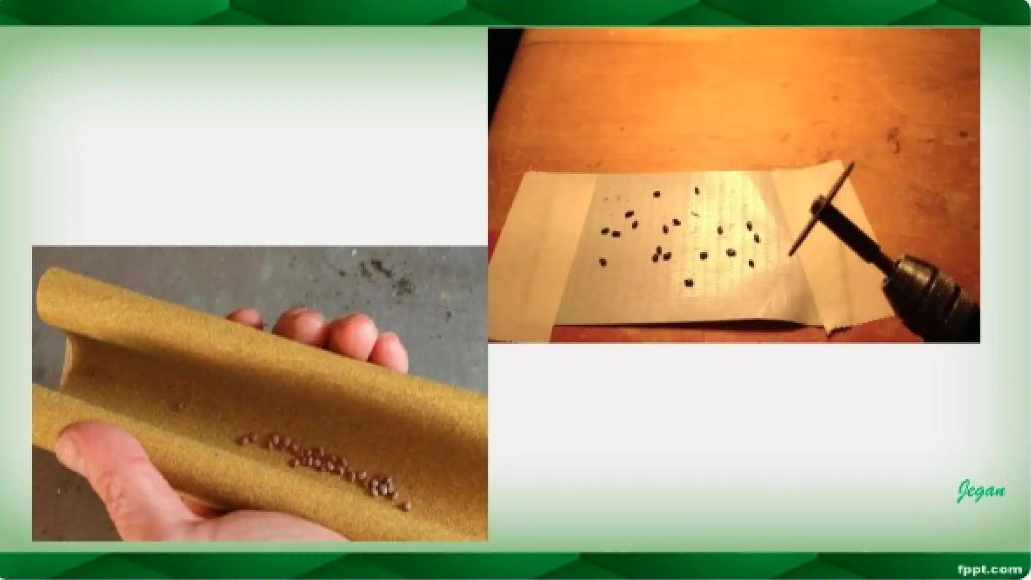 unit 2 cognoasy.pptx pharmacognosy  theory