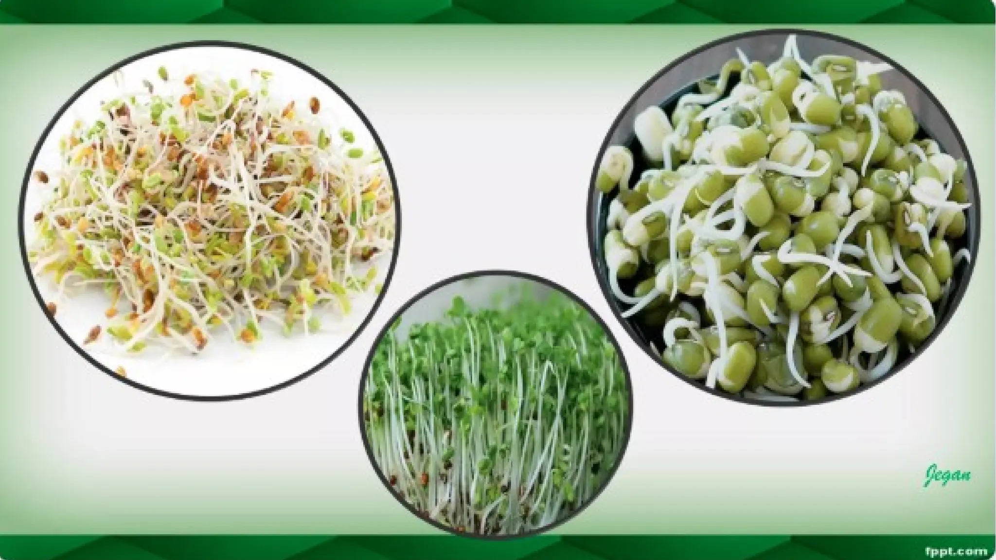 unit 2 cognoasy.pptx pharmacognosy  theory