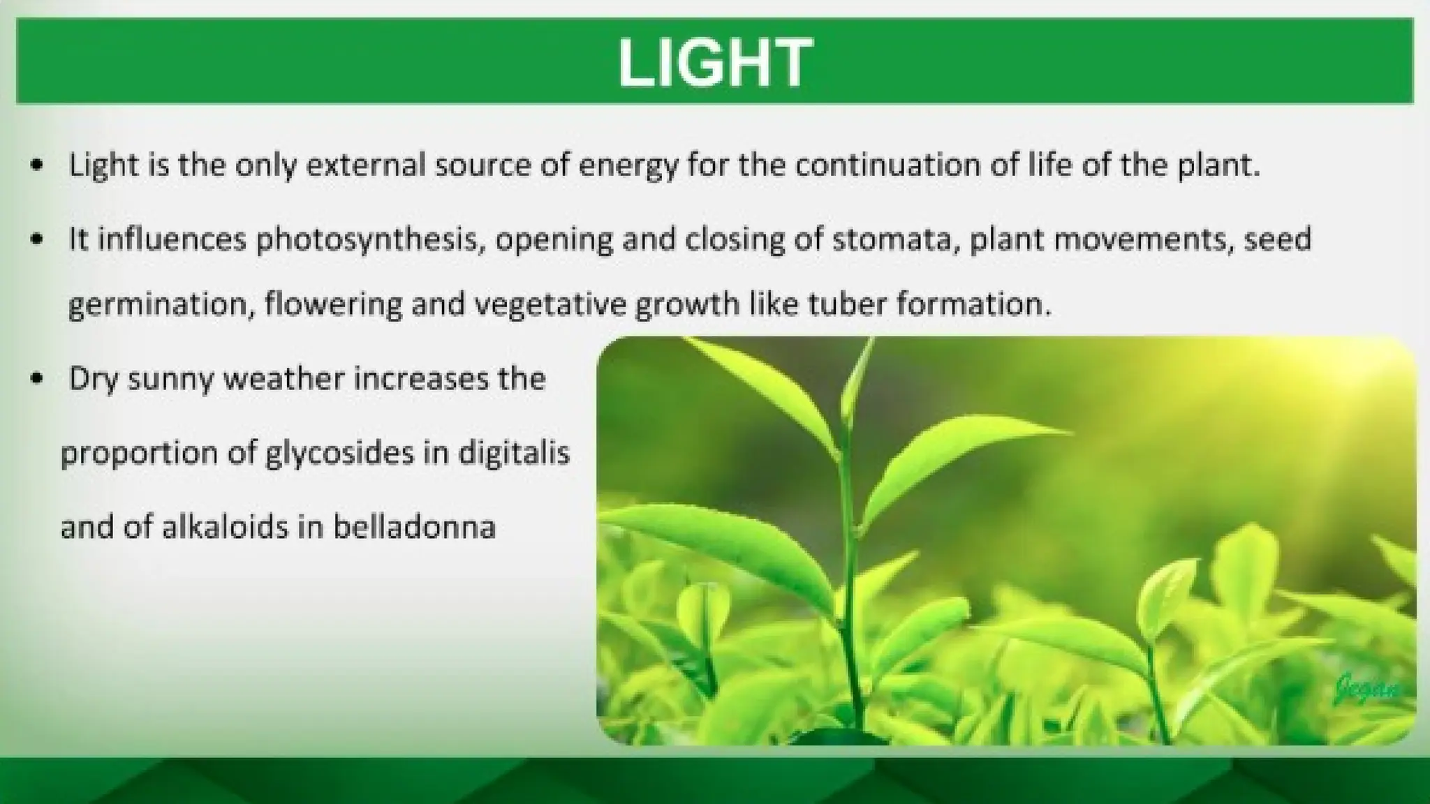 unit 2 cognoasy.pptx pharmacognosy  theory