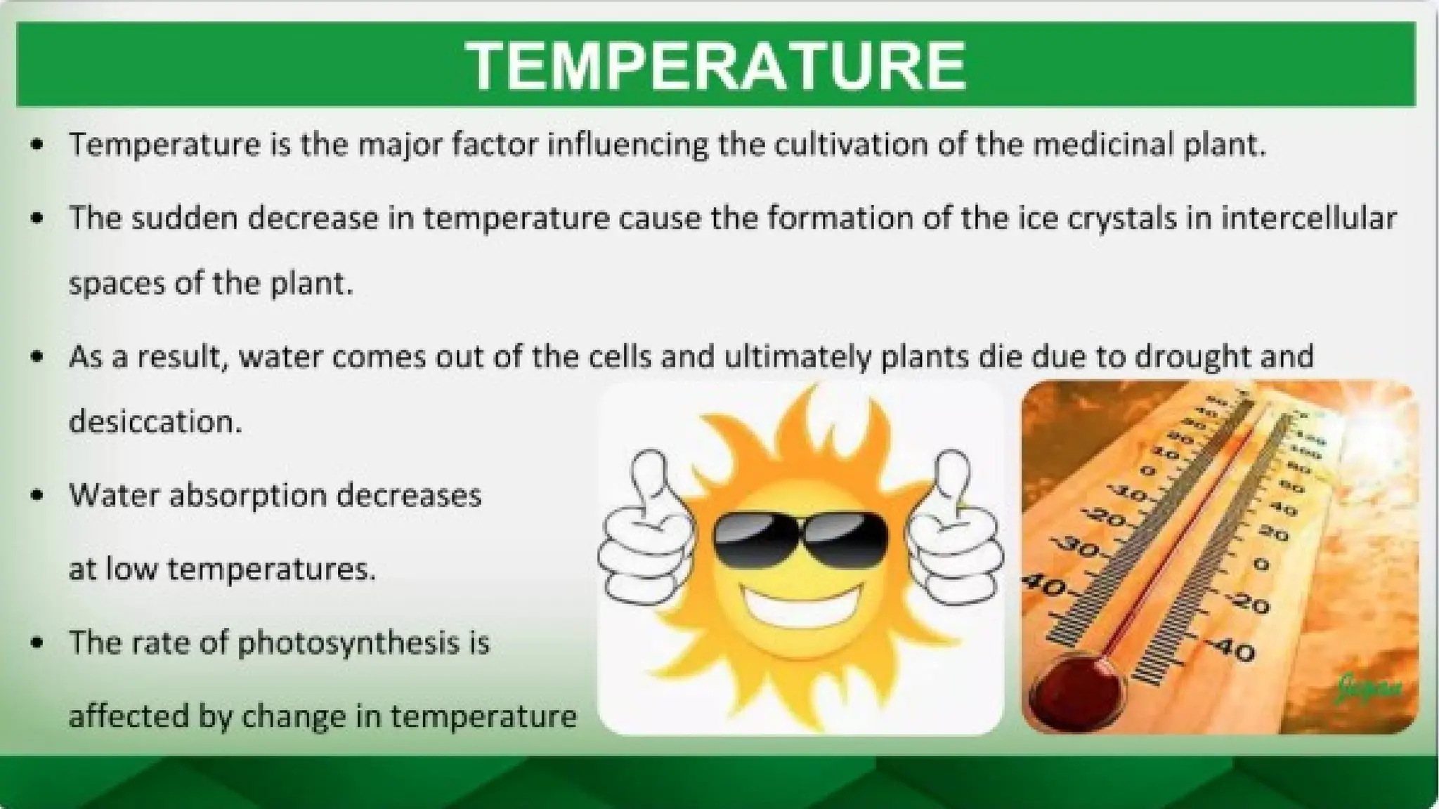 unit 2 cognoasy.pptx pharmacognosy  theory