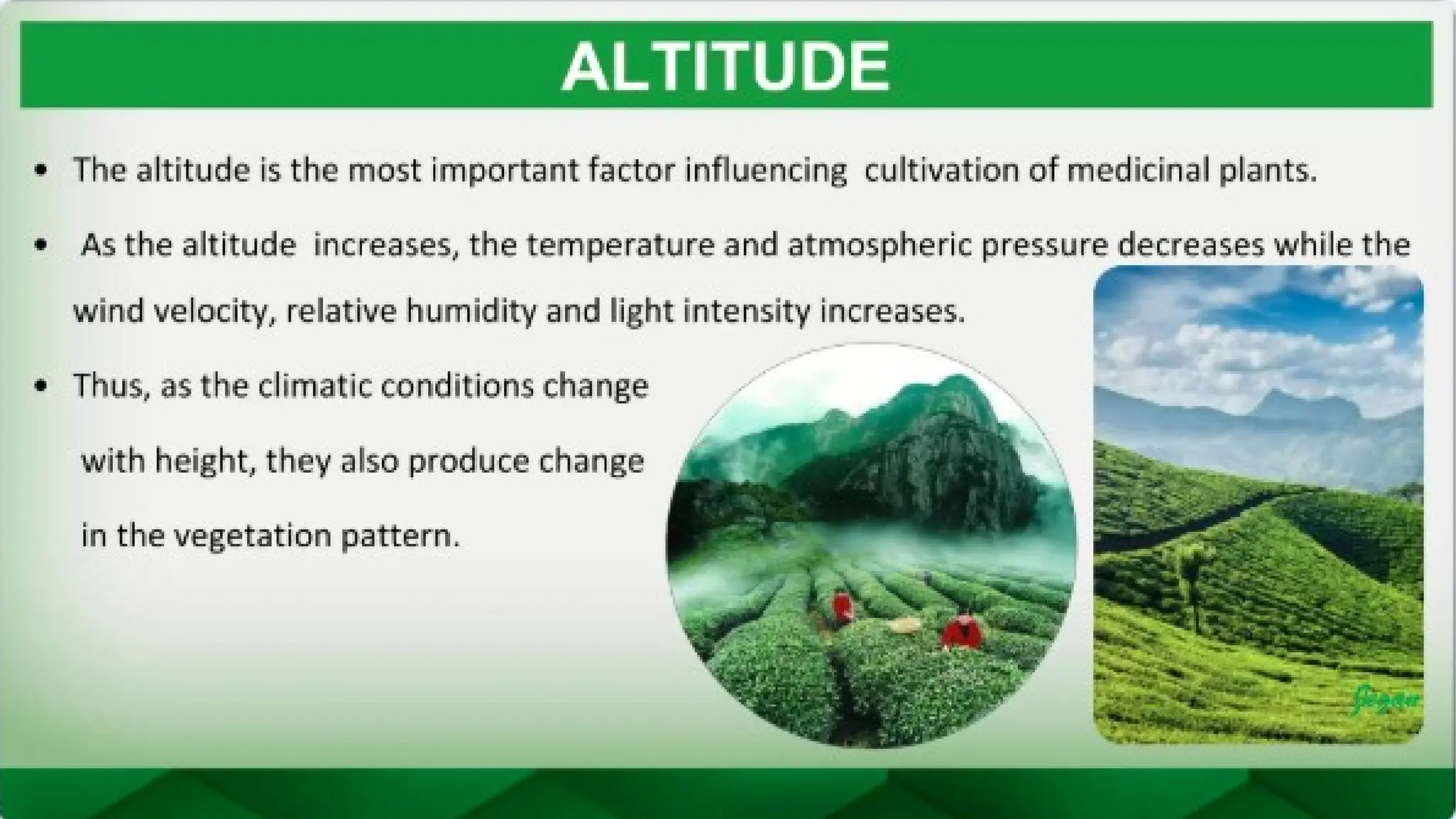 unit 2 cognoasy.pptx pharmacognosy  theory