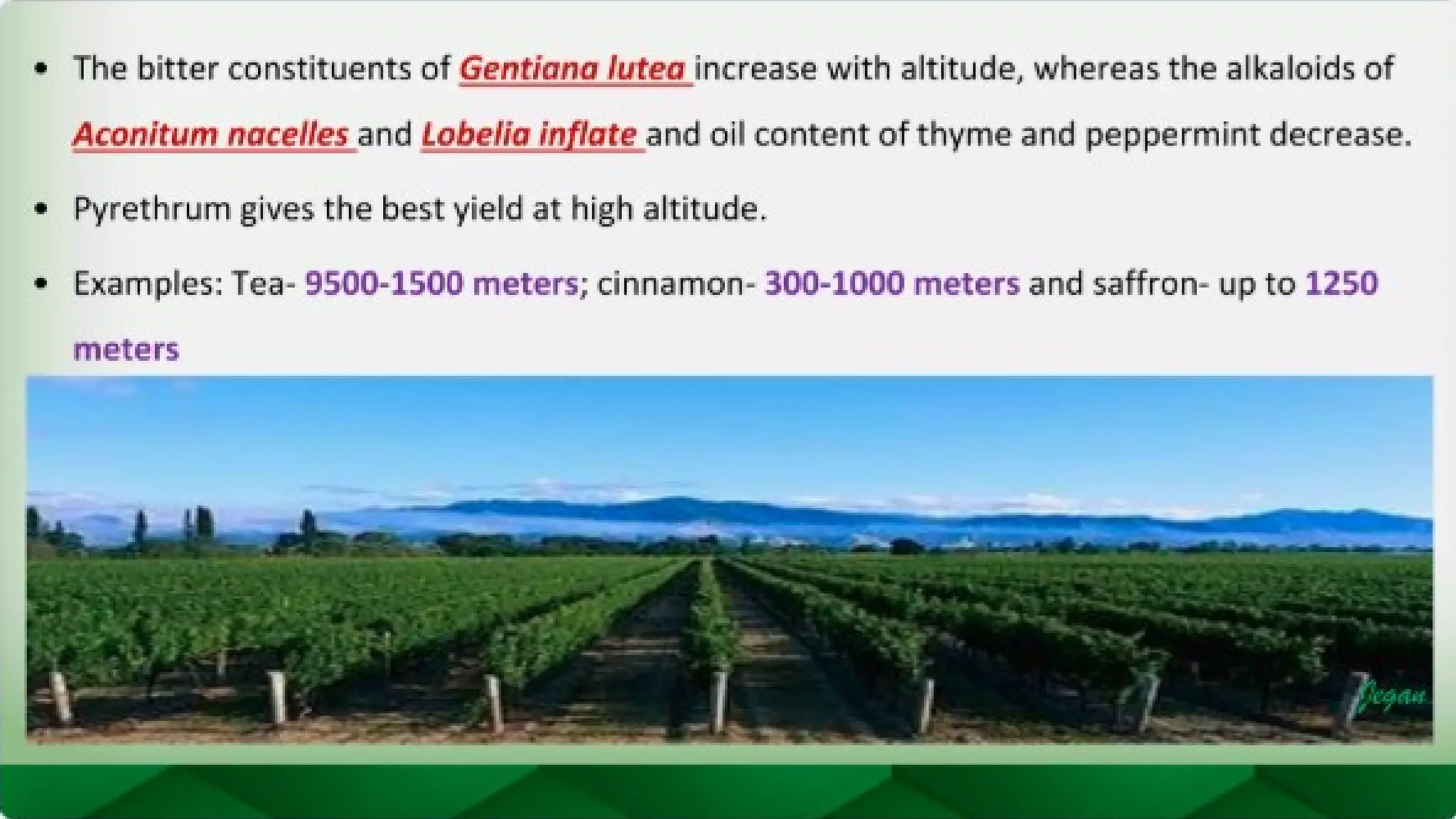 unit 2 cognoasy.pptx pharmacognosy  theory