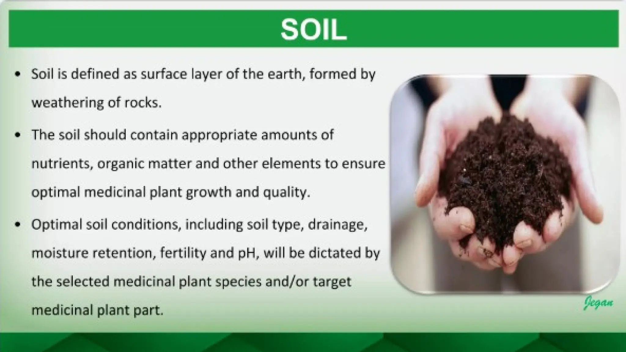 unit 2 cognoasy.pptx pharmacognosy  theory