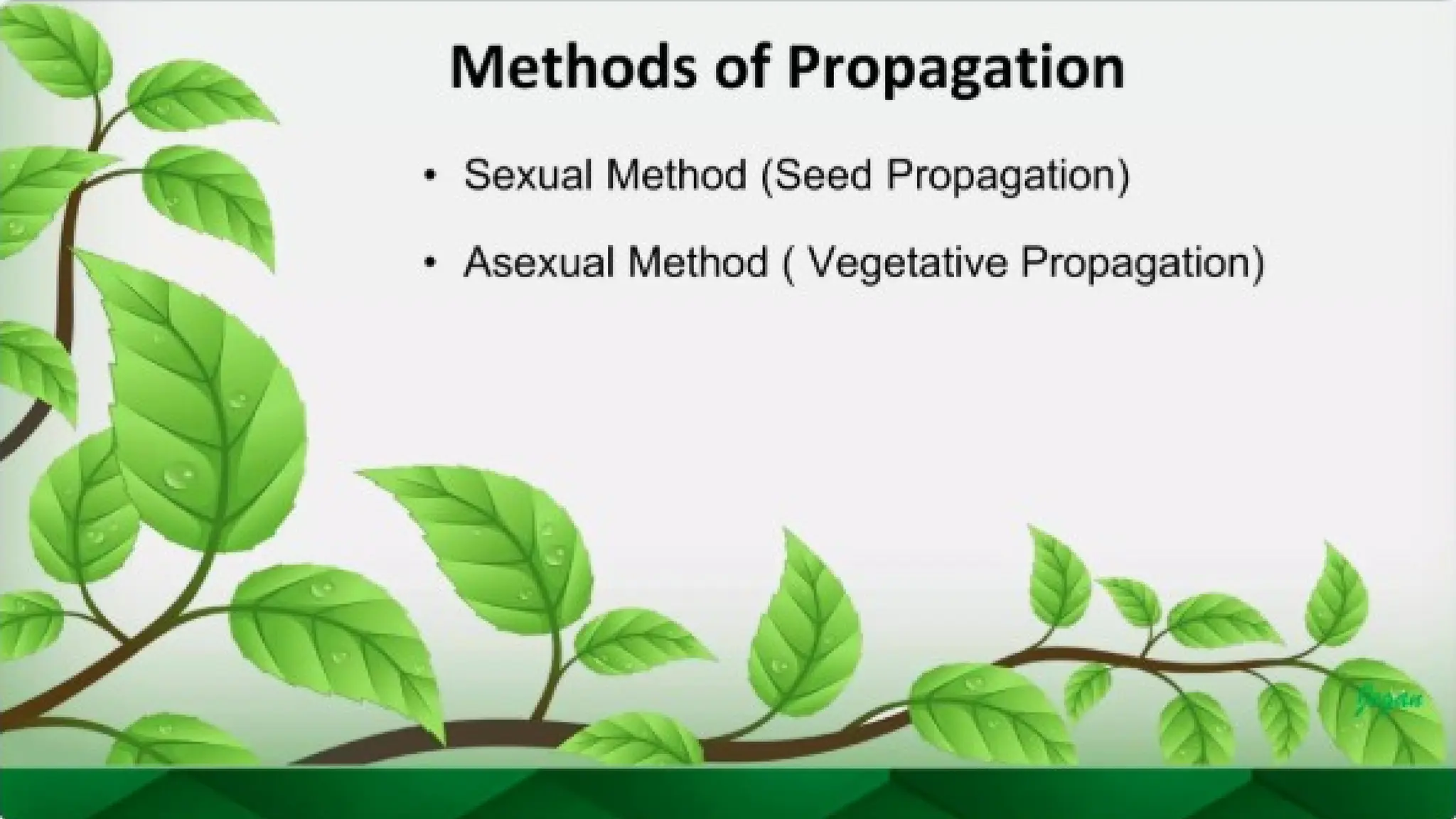 unit 2 cognoasy.pptx pharmacognosy  theory