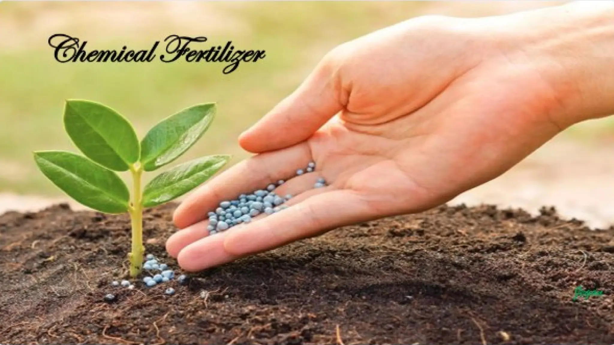 unit 2 cognoasy.pptx pharmacognosy  theory