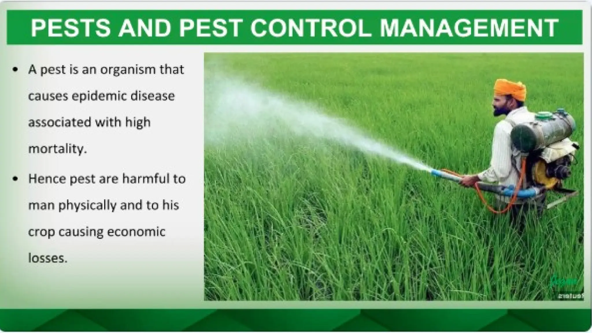unit 2 cognoasy.pptx pharmacognosy  theory