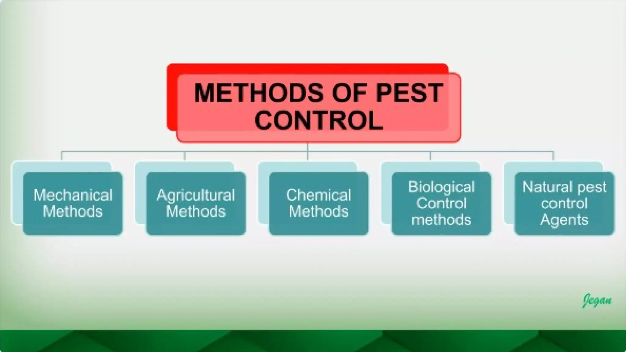 unit 2 cognoasy.pptx pharmacognosy  theory