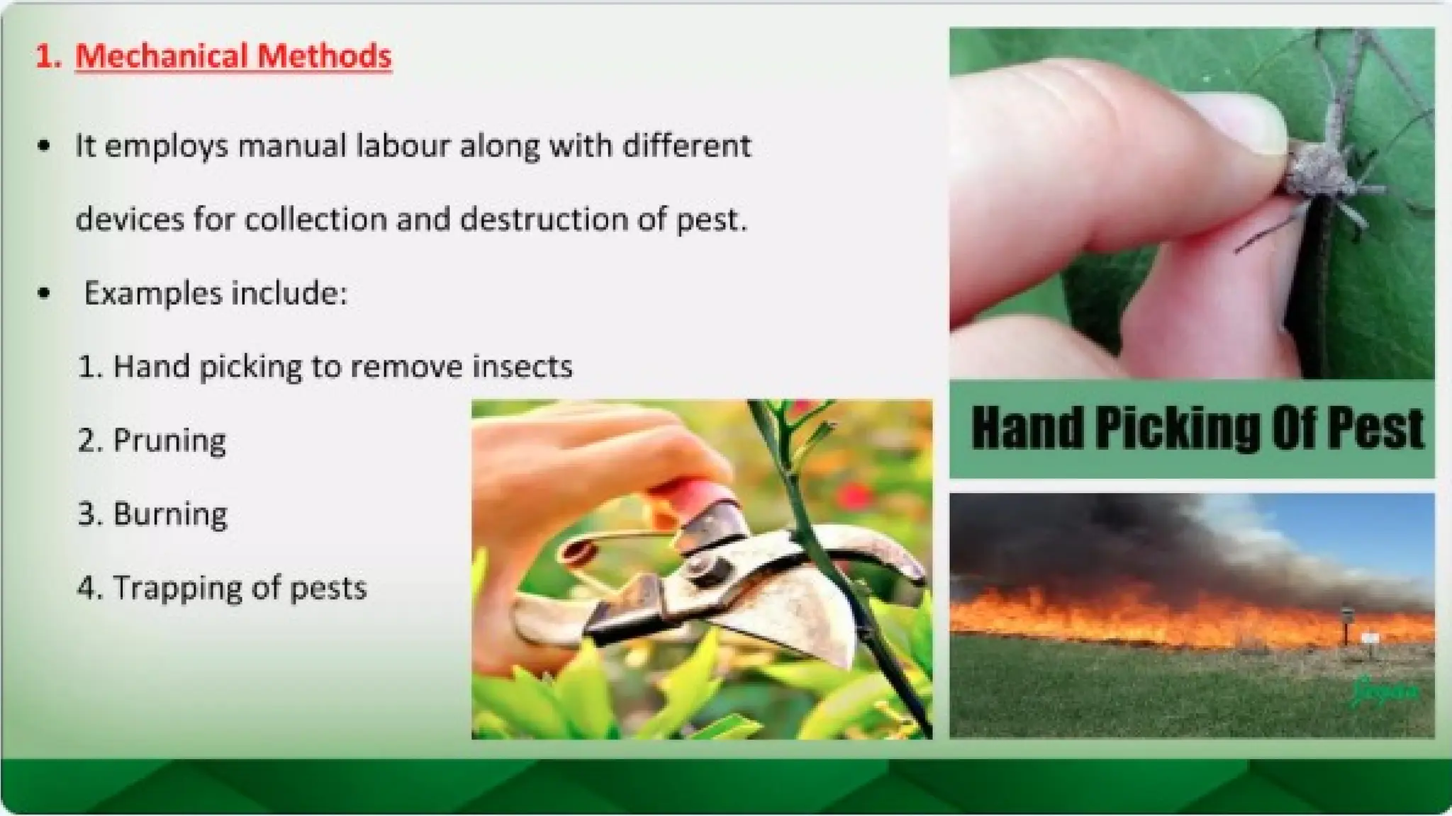 unit 2 cognoasy.pptx pharmacognosy  theory