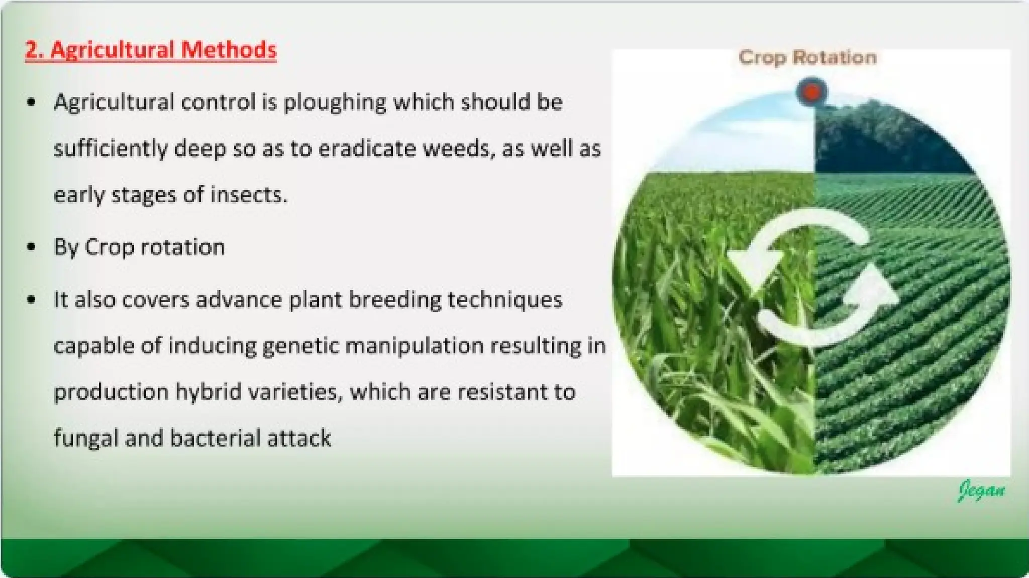 unit 2 cognoasy.pptx pharmacognosy  theory