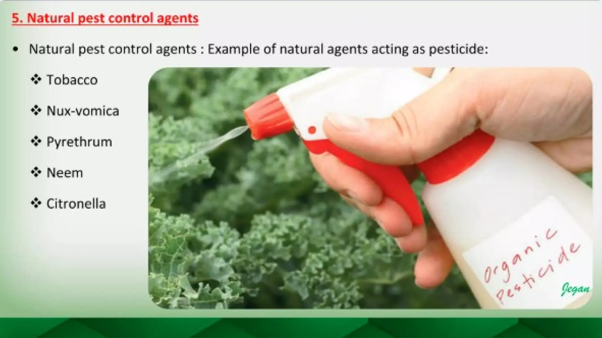 unit 2 cognoasy.pptx pharmacognosy  theory