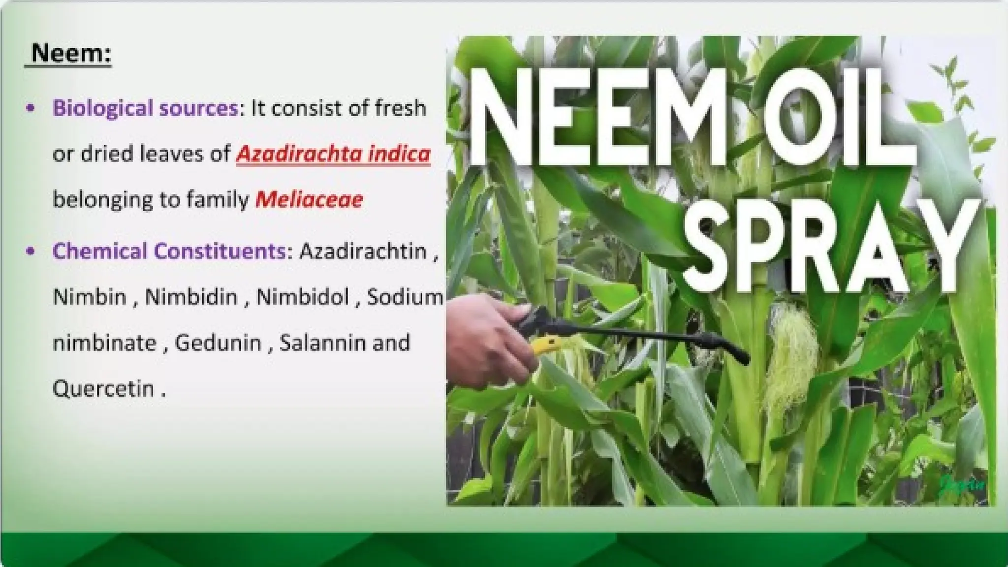 unit 2 cognoasy.pptx pharmacognosy  theory