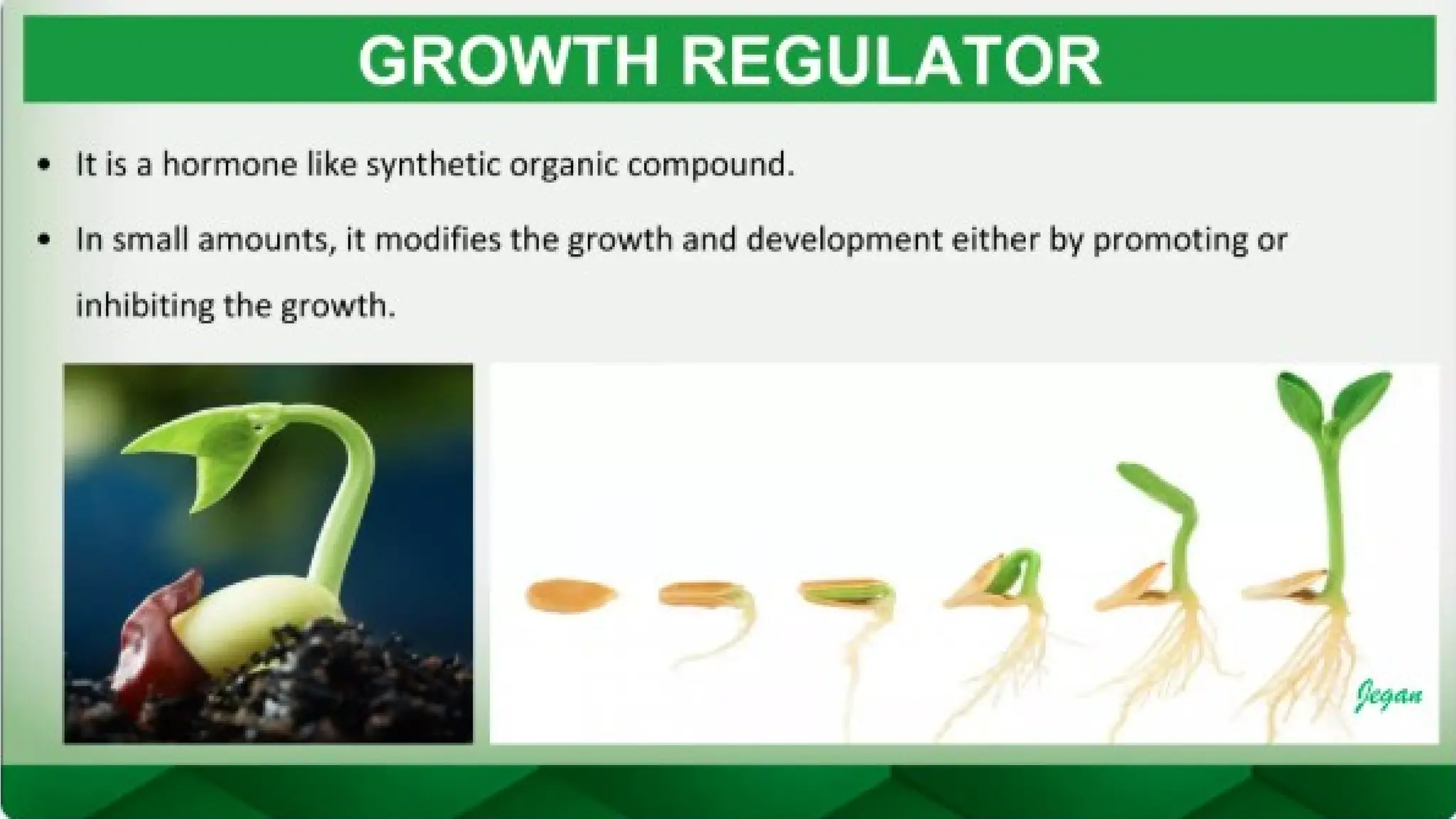 unit 2 cognoasy.pptx pharmacognosy  theory