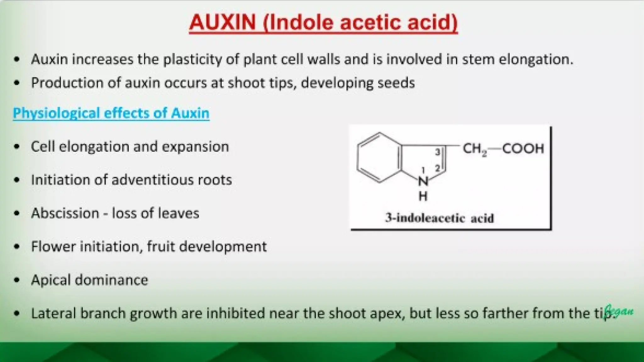unit 2 cognoasy.pptx pharmacognosy  theory