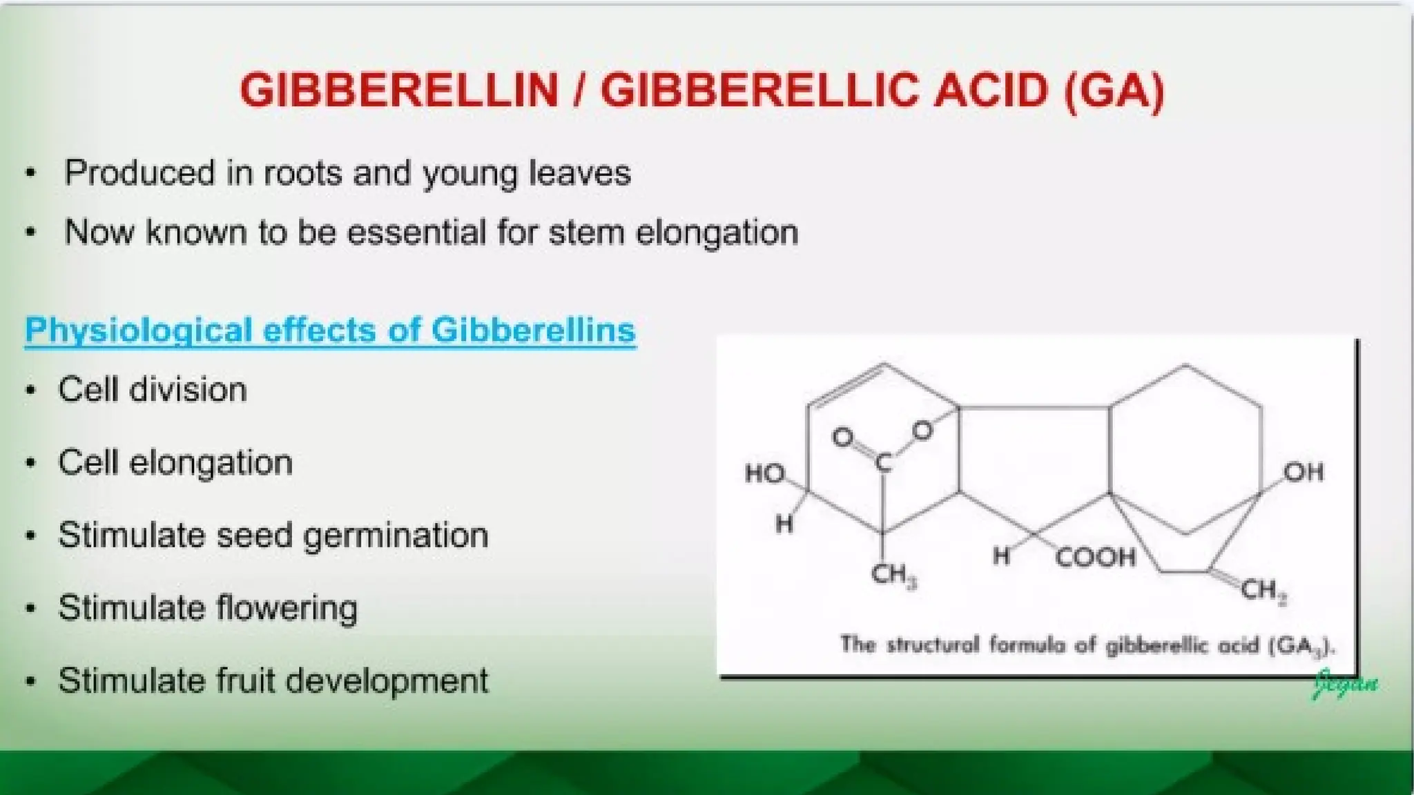 unit 2 cognoasy.pptx pharmacognosy  theory