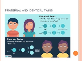 FRATERNAL AND IDENTICAL TWINS
 