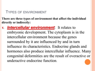 TYPES OF ENVIRONMENT
There are three types of environment that affect the individual
directly or indirectly:
1. Intercellular environment: It relates to
embryonic development. The cytoplasm is in the
intercellular environment because the genes
surrounded by it are influenced by and in turn
influence its characteristics. Endocrine glands and
hormones also produce intercellular influence. Many
congenital deformities are the result of overactive or
underactive endocrine function.
 