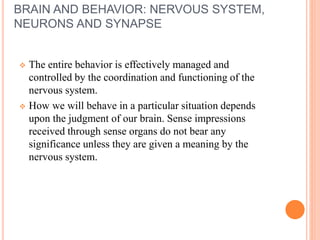 BRAIN AND BEHAVIOR: NERVOUS SYSTEM,
NEURONS AND SYNAPSE
 The entire behavior is effectively managed and
controlled by the coordination and functioning of the
nervous system.
 How we will behave in a particular situation depends
upon the judgment of our brain. Sense impressions
received through sense organs do not bear any
significance unless they are given a meaning by the
nervous system.
 