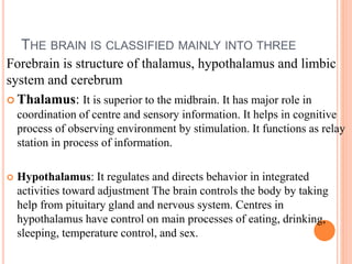 THE BRAIN IS CLASSIFIED MAINLY INTO THREE
Forebrain is structure of thalamus, hypothalamus and limbic
system and cerebrum
 Thalamus: It is superior to the midbrain. It has major role in
coordination of centre and sensory information. It helps in cognitive
process of observing environment by stimulation. It functions as relay
station in process of information.
 Hypothalamus: It regulates and directs behavior in integrated
activities toward adjustment The brain controls the body by taking
help from pituitary gland and nervous system. Centres in
hypothalamus have control on main processes of eating, drinking,
sleeping, temperature control, and sex.
 