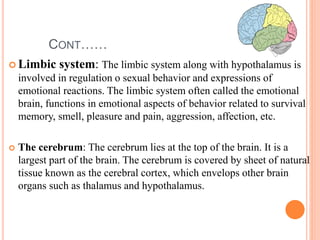CONT……
 Limbic system: The limbic system along with hypothalamus is
involved in regulation o sexual behavior and expressions of
emotional reactions. The limbic system often called the emotional
brain, functions in emotional aspects of behavior related to survival
memory, smell, pleasure and pain, aggression, affection, etc.
 The cerebrum: The cerebrum lies at the top of the brain. It is a
largest part of the brain. The cerebrum is covered by sheet of natural
tissue known as the cerebral cortex, which envelops other brain
organs such as thalamus and hypothalamus.
 