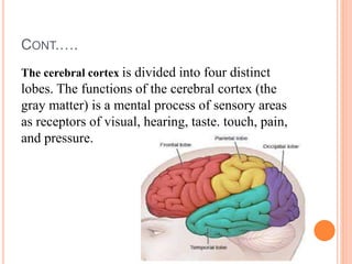 CONT.….
The cerebral cortex is divided into four distinct
lobes. The functions of the cerebral cortex (the
gray matter) is a mental process of sensory areas
as receptors of visual, hearing, taste. touch, pain,
and pressure.
 