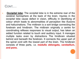 CONT.…
4. Occipital lobe: The occipital lobe is in the extreme rear of the
cerebral hemisphere at the back of the brain. Injuries in the
occipital lobe cause defect in vision, difficulty in identifying of
colour which leads to abnormalities of perception like illusions
and hallucinations. The midbrain is a sort bridge connecting the
forebrain and hindbrain. The midbrain originally a centre for
coordinating reflexes responses to visual output, has taken an
added function related to touch and auditory input. It manages
multiple tasks even by distractions The hindbrain situated
behind and beneath the forebrain. It connects the upper part of
the spinal cord with the lowest part of the brain. The hindbrain
consists of three parts, i.e. medulla oblongata, cerebellum,
and pons.
 