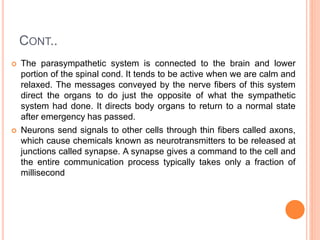 CONT..
 The parasympathetic system is connected to the brain and lower
portion of the spinal cond. It tends to be active when we are calm and
relaxed. The messages conveyed by the nerve fibers of this system
direct the organs to do just the opposite of what the sympathetic
system had done. It directs body organs to return to a normal state
after emergency has passed.
 Neurons send signals to other cells through thin fibers called axons,
which cause chemicals known as neurotransmitters to be released at
junctions called synapse. A synapse gives a command to the cell and
the entire communication process typically takes only a fraction of
millisecond
 