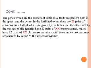 CONT.……..
The genes which are the carriers of distinctive traits are present both in
the sperm and the ovum. In the fertilized ovum there are 23 pairs of
chromosomes half of which are given by the father and the other half by
the mother. While females have 23 pairs of XX chromosomes, males
have 22 pairs of XX chromosomes along with two single chromosomes
represented by X and Y, the sex chromosomes.
 