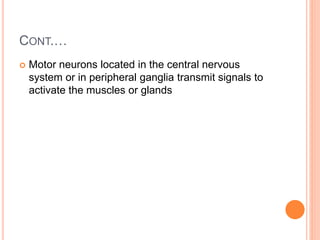 CONT.…
 Motor neurons located in the central nervous
system or in peripheral ganglia transmit signals to
activate the muscles or glands
 