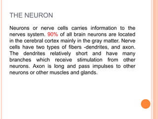 THE NEURON
Neurons or nerve cells carries information to the
nerves system. 90% of all brain neurons are located
in the cerebral cortex mainly in the gray matter. Nerve
cells have two types of fibers -dendrites, and axon.
The dendrites relatively short and have many
branches which receive stimulation from other
neurons. Axon is long and pass impulses to other
neurons or other muscles and glands.
 