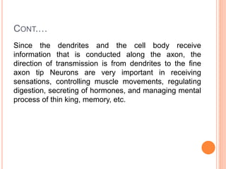 CONT.…
Since the dendrites and the cell body receive
information that is conducted along the axon, the
direction of transmission is from dendrites to the fine
axon tip Neurons are very important in receiving
sensations, controlling muscle movements, regulating
digestion, secreting of hormones, and managing mental
process of thin king, memory, etc.
 