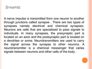 SYNAPSE
A nerve impulse is transmitted from one neuron to another
through junctions called synapse . There are two types of
synapses namely electrical and chemical synapses.
Neurons are cells that are specialized to pass signals to
individuals. In many synapses, the presynaptic part is
located on an axon and the postsynaptic part is located on
a dendrites or soma. Neurotransmitters are used to carry
the signal across the synapse to other neurons. A
neurotransmitter is a chemical messenger that caries
signals between neurons and other cells of the body .
 