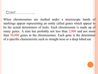 CONT.…………..
When chromosomes are studied under a microscope bands of
markings appear representing an entity called genes which appear to
be the actual determiners of traits. Each chromosome is made up of
many genes. A man has probably not less than 2,000 and not more
than 50,000 genes in the chromosomes. Each gene is the determiner
of a specific characteristic such as straight nose or a deep lobed ear.
 