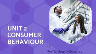 Basics of Marketing_Unit 2 Consumer Behaviour | PDF