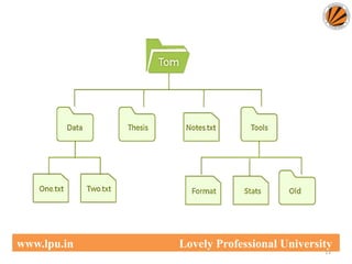 11
www.lpu.in Lovely Professional University
 