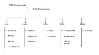 SQL Components
SQL Components
 
