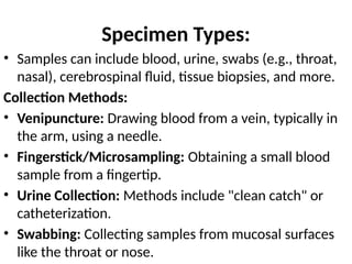 Unit 2 Department section of clinical laboratory | PPTX