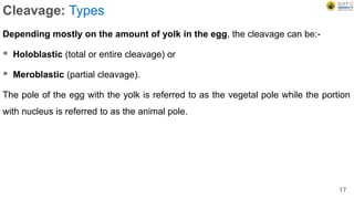 Cleavage: Types
Depending mostly on the amount of yolk in the egg, the cleavage can be:-
 Holoblastic (total or entire cleavage) or
 Meroblastic (partial cleavage).
The pole of the egg with the yolk is referred to as the vegetal pole while the portion
with nucleus is referred to as the animal pole.
17
 