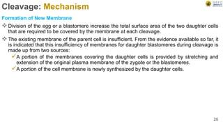 Cleavage: Mechanism
Formation of New Membrane
Division of the egg or a blastomere increase the total surface area of the two daughter cells
that are required to be covered by the membrane at each cleavage.
The existing membrane of the parent cell is insufficient. From the evidence available so far, it
is indicated that this insufficiency of membranes for daughter blastomeres during cleavage is
made up from two sources:
A portion of the membranes covering the daughter cells is provided by stretching and
extension of the original plasma membrane of the zygote or the blastomeres.
A portion of the cell membrane is newly synthesized by the daughter cells.
26
 