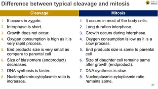 Difference between typical cleavage and mitosis
1. It occurs in zygote.
2. Interphase is short.
3. Growth does not occur.
4. Oxygen consumption is high as it is
very rapid process.
5. End products size is very small as
compare to parental cell
6. Size of blastomere (endproduct)
decreases.
7. DNA synthesis is faster.
8. Nucleoplasmic-cytoplasmic ratio is
increases.
1. It occurs in most of the body cells.
2. Long duration interphase.
3. Growth occurs during interphase.
4. Oxygen consumption is low as it is a
slow process.
5. End products size is same to parental
cell
6. Size of daughter cell remains same
after growth (endproduct).
7. DNA synthesis is slow.
8. Nucleoplasmic-cytoplasmic ratio
remains same.
27
Cleavage Mitosis
 