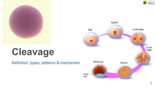 Cleavage
Definition, types, patterns & mechanism
5
 