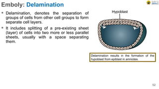 Emboly: Delamination
 Delamination, denotes the separation of
groups of cells from other cell groups to form
separate cell layers.
 It includes splitting of a pre-existing sheet
(layer) of cells into two more or less parallel
sheets, usually with a space separating
them.
52
Delamination results in the formation of the
hypoblast from epiblast in amniotes.
 