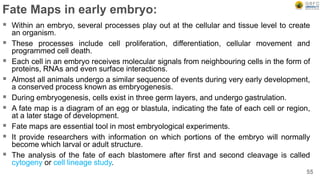 Fate Maps in early embryo:
 Within an embryo, several processes play out at the cellular and tissue level to create
an organism.
 These processes include cell proliferation, differentiation, cellular movement and
programmed cell death.
 Each cell in an embryo receives molecular signals from neighbouring cells in the form of
proteins, RNAs and even surface interactions.
 Almost all animals undergo a similar sequence of events during very early development,
a conserved process known as embryogenesis.
 During embryogenesis, cells exist in three germ layers, and undergo gastrulation.
 A fate map is a diagram of an egg or blastula, indicating the fate of each cell or region,
at a later stage of development.
 Fate maps are essential tool in most embryological experiments.
 It provide researchers with information on which portions of the embryo will normally
become which larval or adult structure.
 The analysis of the fate of each blastomere after first and second cleavage is called
cytogeny or cell lineage study.
55
 