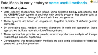 Fate Maps in early embryo: some useful methods
CRISPR/Cas9 system
 More recently, researchers have begun using synthetic biology approaches and
the CRISPR/Cas9 system to engineer new genetic systems that enable cells to
autonomously record lineage information in their own genome.
 These systems are based on engineered, targeted mutation of defined genetic
elements.
 By generating new, random genomic alterations in each cell generation these
approaches facilitate reconstruction of lineage trees.
 These approaches promise to provide more comprehensive analysis of lineage
relationships in model organisms.
 Computational tree reconstruction methods are also being developed for datasets
generated by such approaches.
61
 