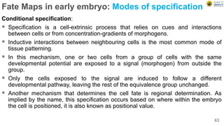 Fate Maps in early embryo: Modes of specification
Conditional specification:
 Specification is a cell-extrinsic process that relies on cues and interactions
between cells or from concentration-gradients of morphogens.
 Inductive interactions between neighbouring cells is the most common mode of
tissue patterning.
 In this mechanism, one or two cells from a group of cells with the same
developmental potential are exposed to a signal (morphogen) from outside the
group.
 Only the cells exposed to the signal are induced to follow a different
developmental pathway, leaving the rest of the equivalence group unchanged.
 Another mechanism that determines the cell fate is regional determination. As
implied by the name, this specification occurs based on where within the embryo
the cell is positioned, it is also known as positional value.
63
 